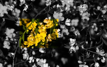 E73B94D0-A6F7-4213-B633-8E18A892B93D/L0/001