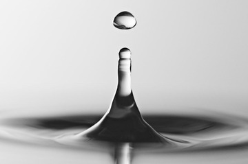 DSC05841.jpg