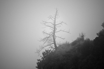 _DSC1915.jpg