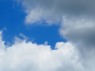 16423