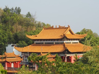 20007