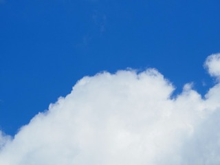16420