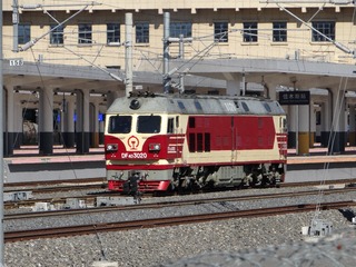 146004