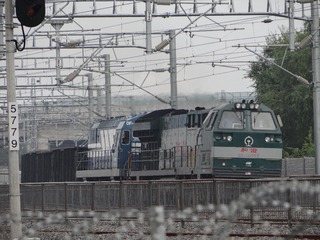 146391