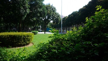 P1000186.JPG