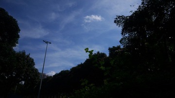P1000187.JPG