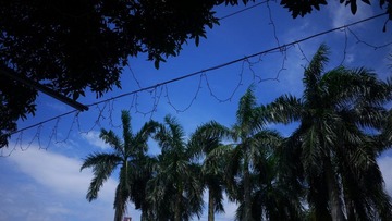 P1000201.JPG