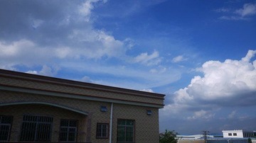 P1000217.JPG