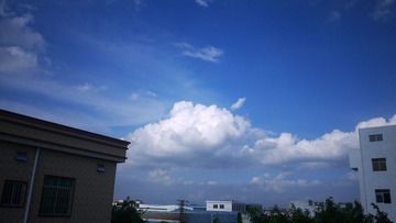 P1000220.JPG