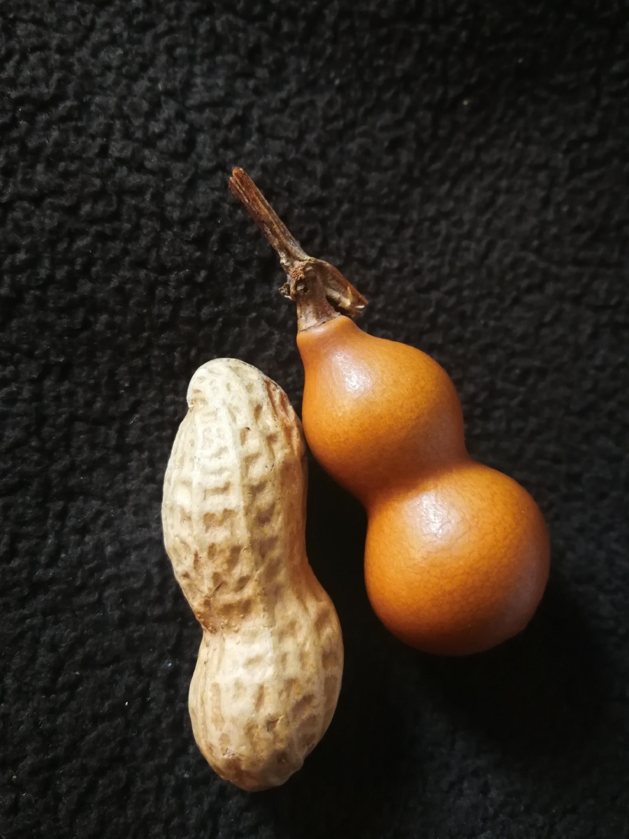 葫芦与花生