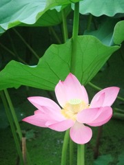 DSCF8903_旋转.JPG