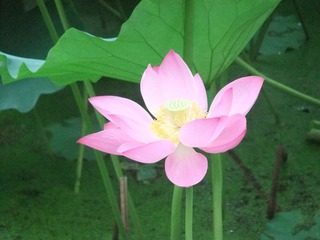 DSCF8901.JPG