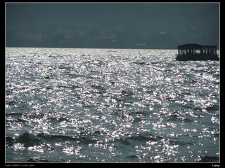DSCF6238.JPG