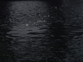 25208619-85AB-40A6-8FB0-BBFE43111DBE/L0/001