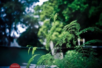 20120721-L1020588.jpg