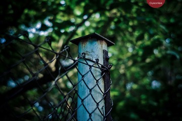 20120721-L1020589.jpg