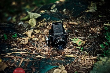 20120721-L1020596.jpg