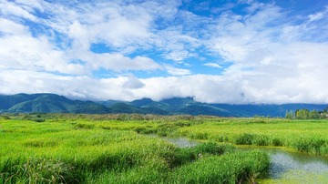 6D73AA26-C303-40F0-802A-E79F239B96B8/L0/001