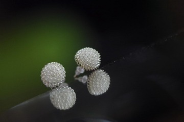ET3_7220.JPG
