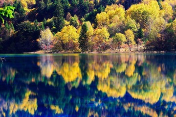 Resize of CRW_1827a.JPG