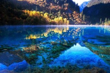 Resize of IMG_1841.JPG