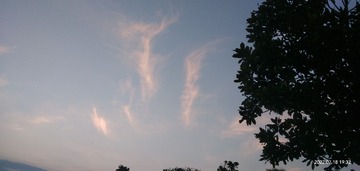 1082438