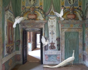 karen knorr 02