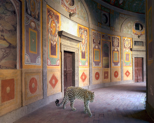 karen knorr 05