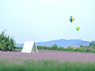 39AD7271-8869-4C55-95D9-86047CAA01F7/L0/001