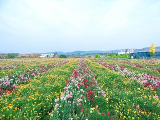 67142B41-D33C-4E1F-99B9-9B9269A1C978/L0/001