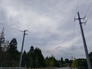 1118355