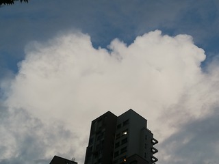1069737