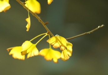 157040