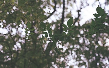 68460032_meitu_22