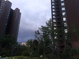 2245023