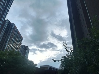 2245020