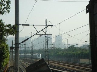 DSC08288.JPG