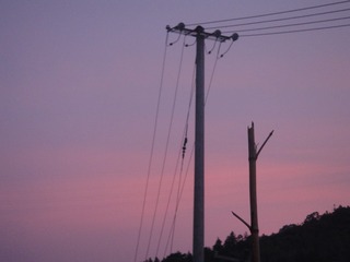 326229