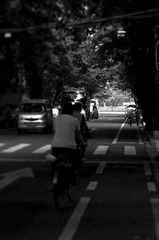 _DSC0886p.jpg