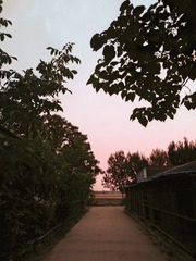 1000007762