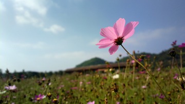 B491A965-C2B8-487A-8C20-119AB0A08D50/L0/001
