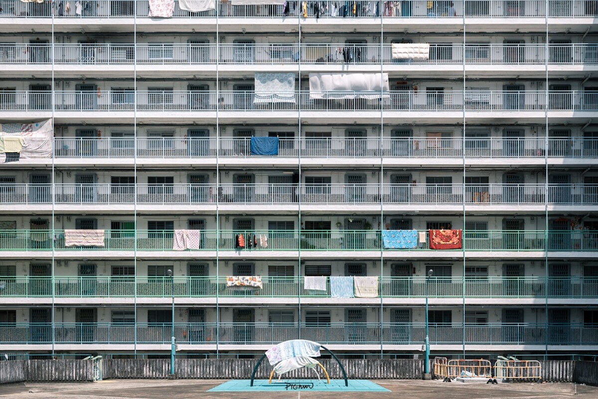 秩序