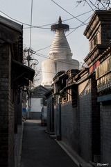 可一可再