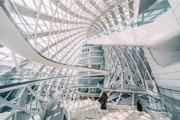 凤凰展翅