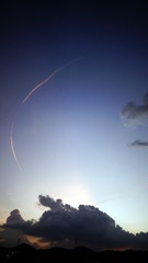 1000024790