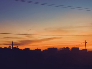 6250