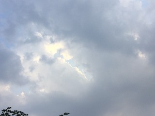 0F3547DA-F497-436B-8EE4-BA1EF9A6AA6A/L0/001
