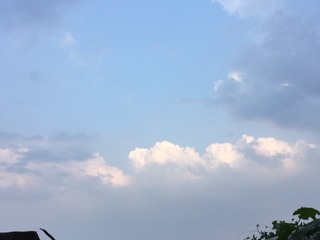 B86AEC3B-4389-4C03-B5A7-0FDEF210AAAB/L0/001