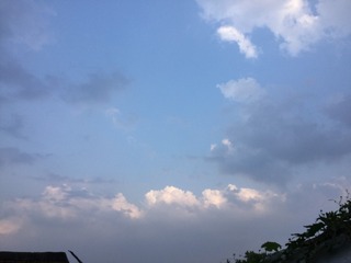 D2C3BB20-C599-4A43-86BA-1E0F55FF455A/L0/001