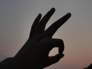 1000022851